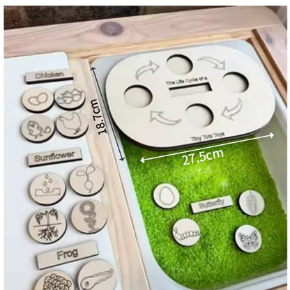 Wooden Table Game Set