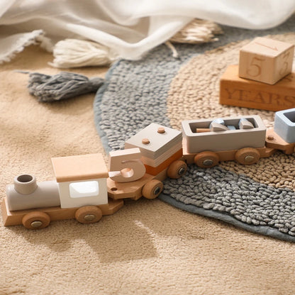 Montessori Wooden Train