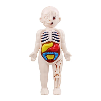 Science Education Human Body