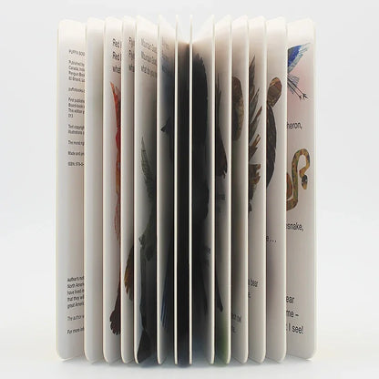 Picture Cardboard Books